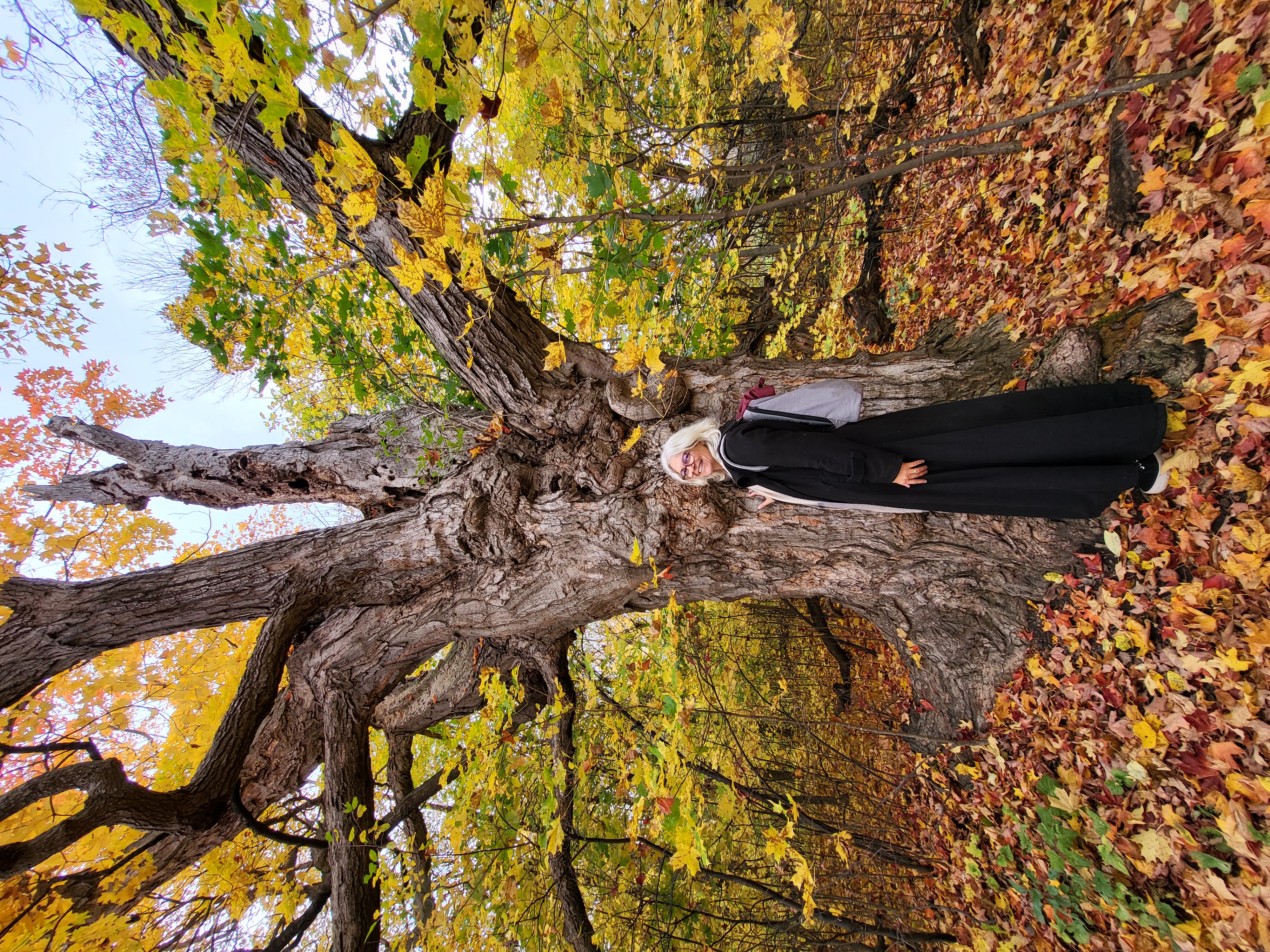 Portrait de Bérangère Leroy
